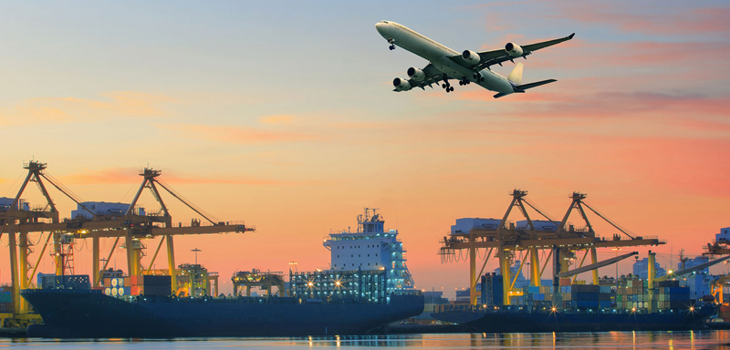 International Freight and Forwarding